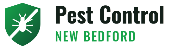 New Bedford Pest Control